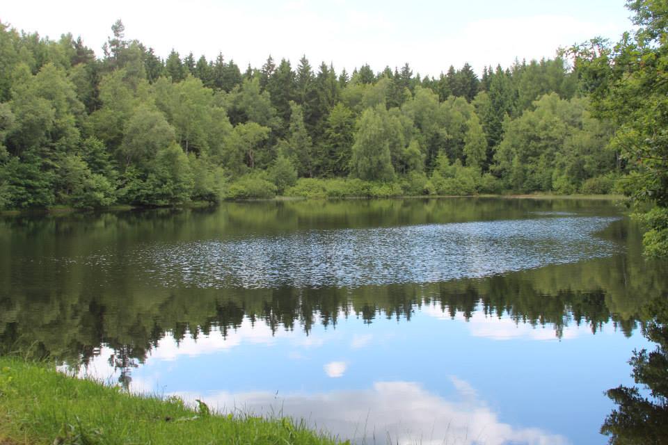 Stempelstelle 190 / BergratMüllerTeich Harzer Wandernadel