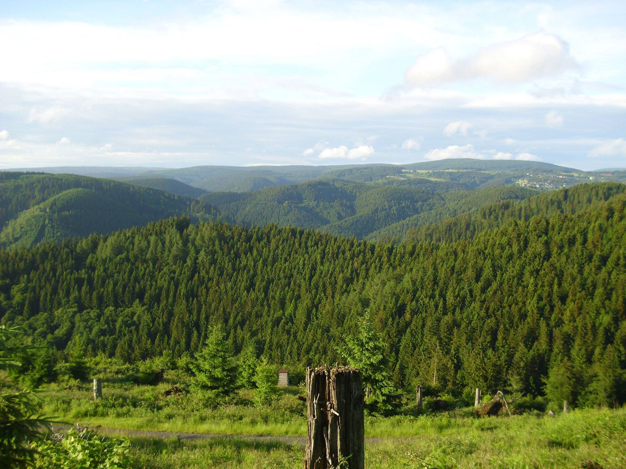 Groene bossen en heuvels in het Thüringer Woud