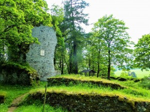 Burgruine im Wald mit grüner Natur