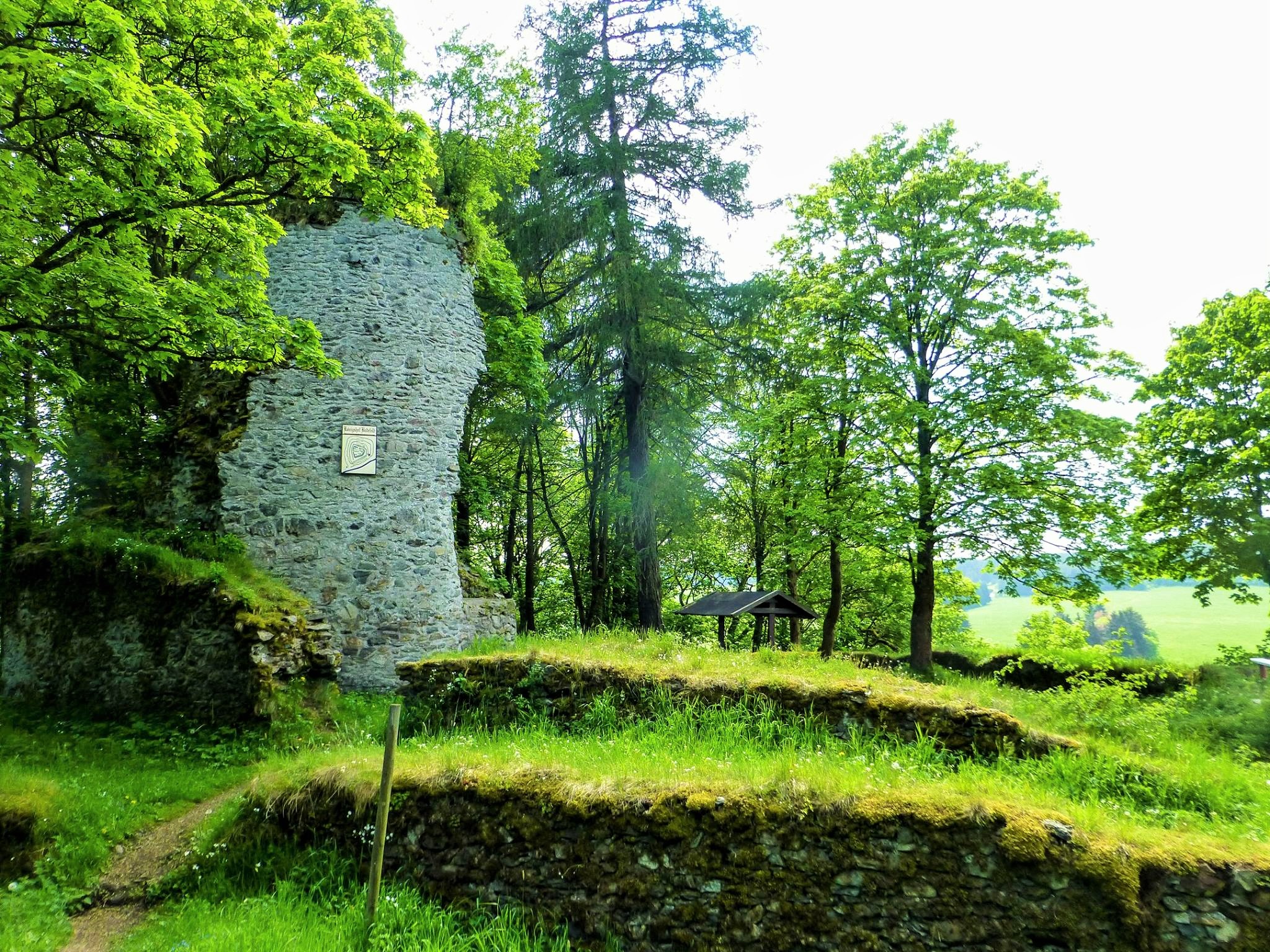Kasteelruïne in het bos met groene natuur