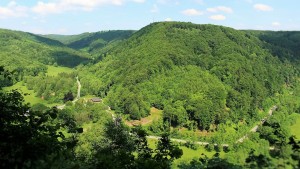 Grünes Tal mit bewaldeten Hügeln und Landstraße