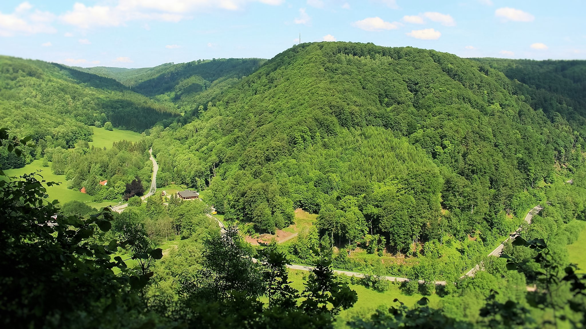 Grøn dal med skovklædte bakker og landevej