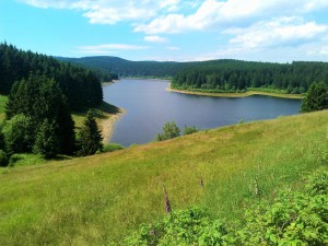 Lac de barrage dans la verdure avec forêt environnante