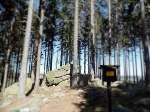 Sten i skoven med inskriptionen Ferdinands sten