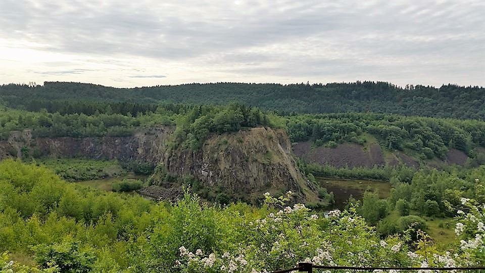 Grønt klippelandskab med skov og overskyet himmel