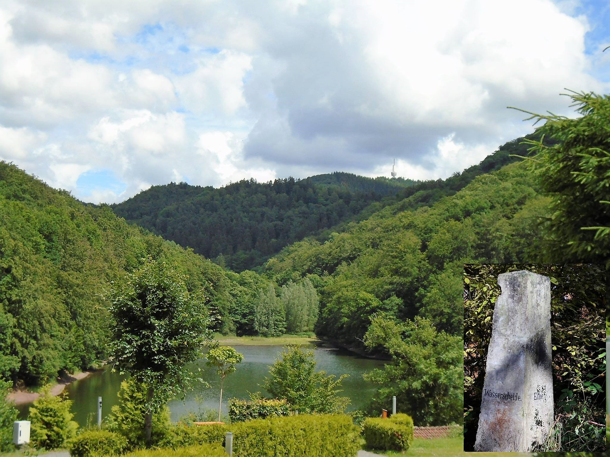 Grünes Waldtal mit See und Aussichtsturm
