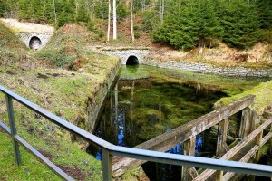 Tunnel historique avec fossé dans la forêt