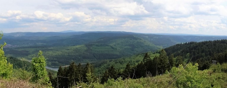 Panorama grüner Wälder und Berge unter Wolkenhimmel
