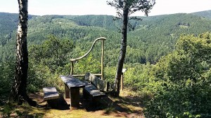 Viewing point with wooden benches in the green forest mountains