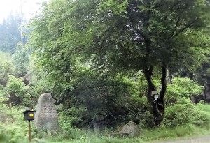 Pierre commémorative sous les arbres dans la zone verte de la forêt