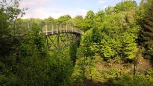 Voetgangersbrug over groen boslandschap