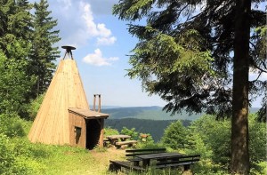 Wooden hut in the forest with panoramic views