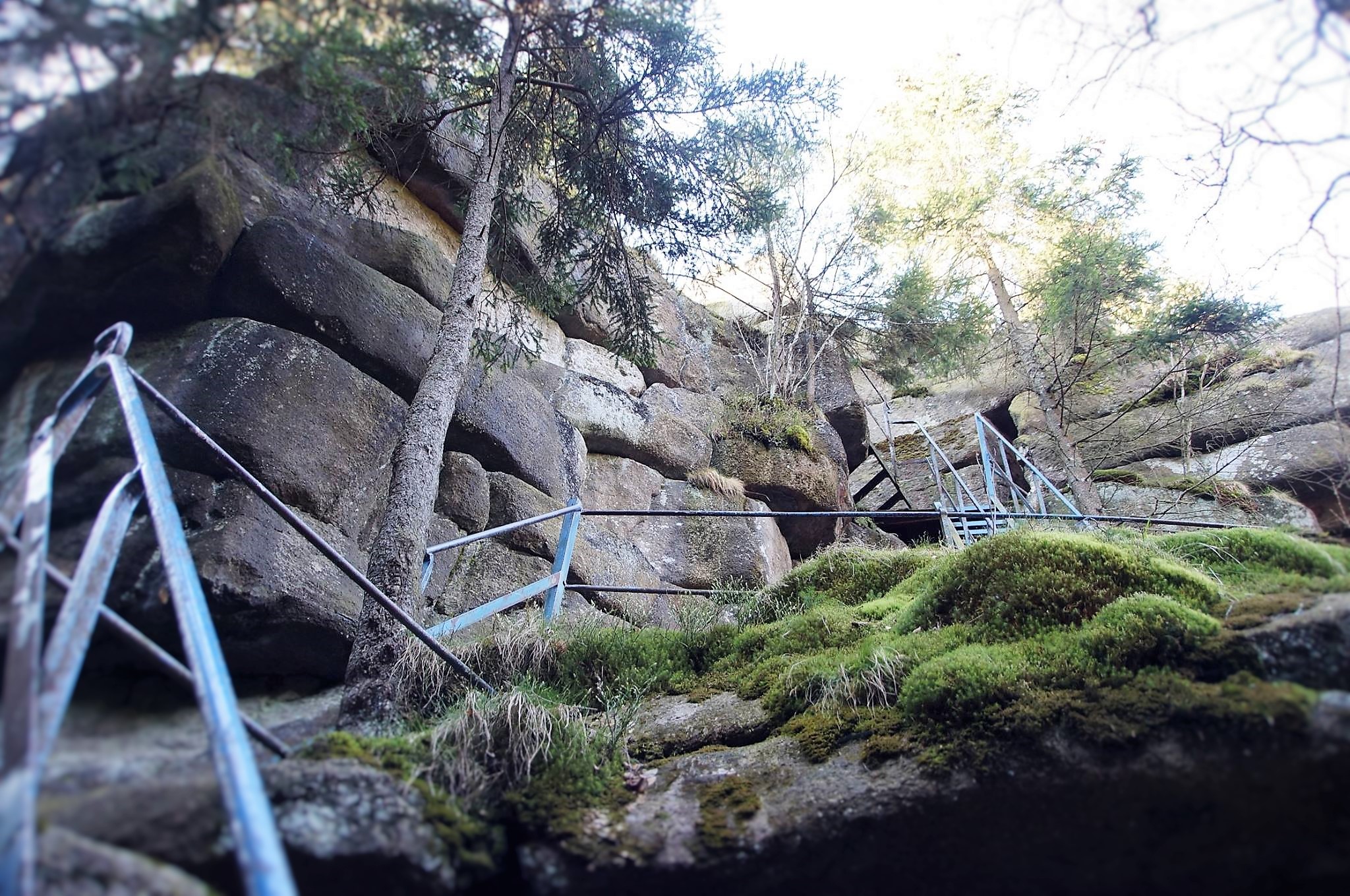 Felsentreppe im Wald mit Moos und Geländer