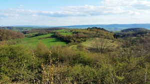 Grüne Hügel mit Feldern und Wald unter blauem Himmel
