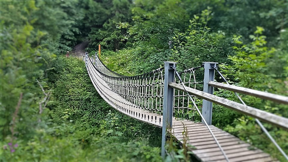 Ponts suspendus dans la forêt grise