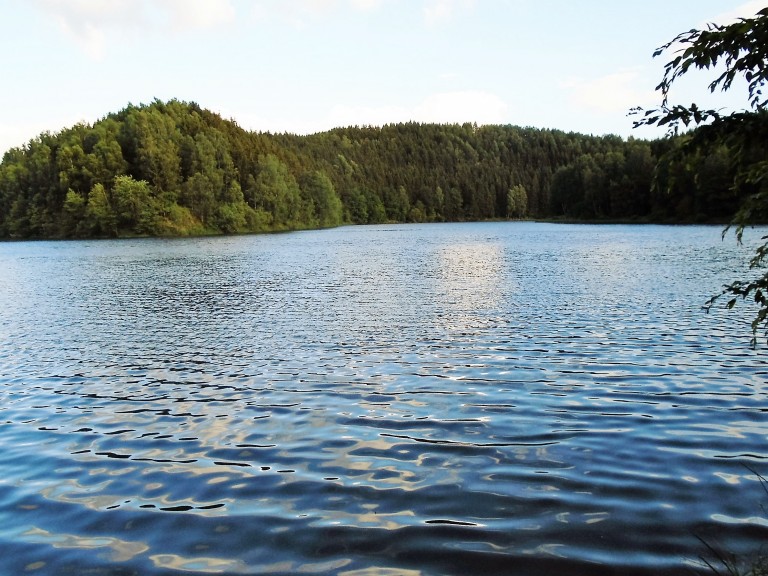 Ruhiger See umgeben von grünem Wald