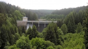 Staumauer im Wald mit umliegenden Bäumen