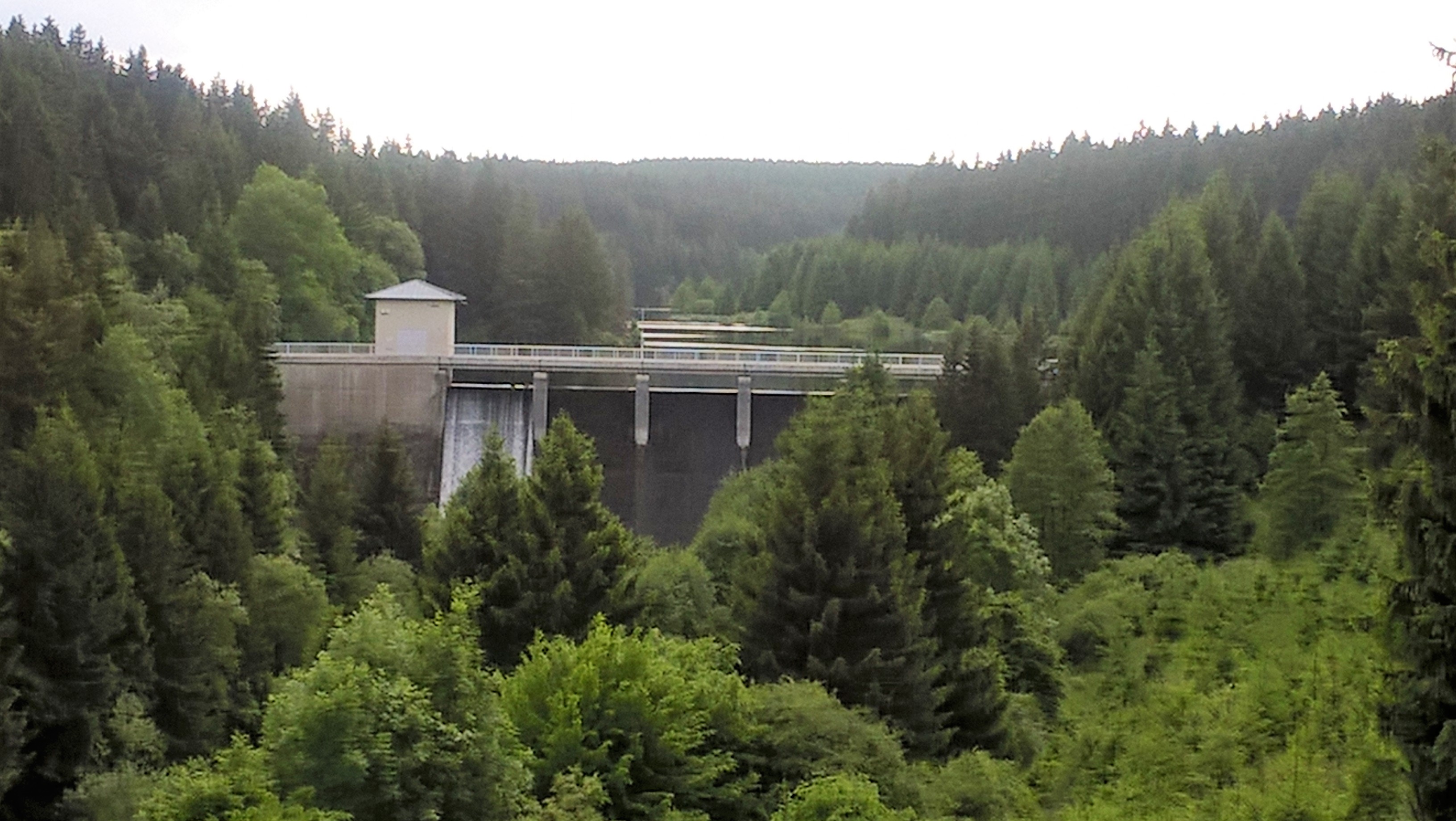 Dam wall in the forest with surrounding trees