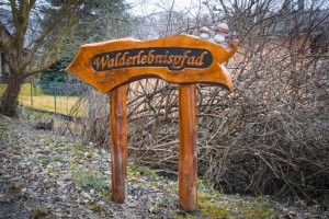 Walderlebnispfad Foto für Wandernadel (1 von 1)kleinformat