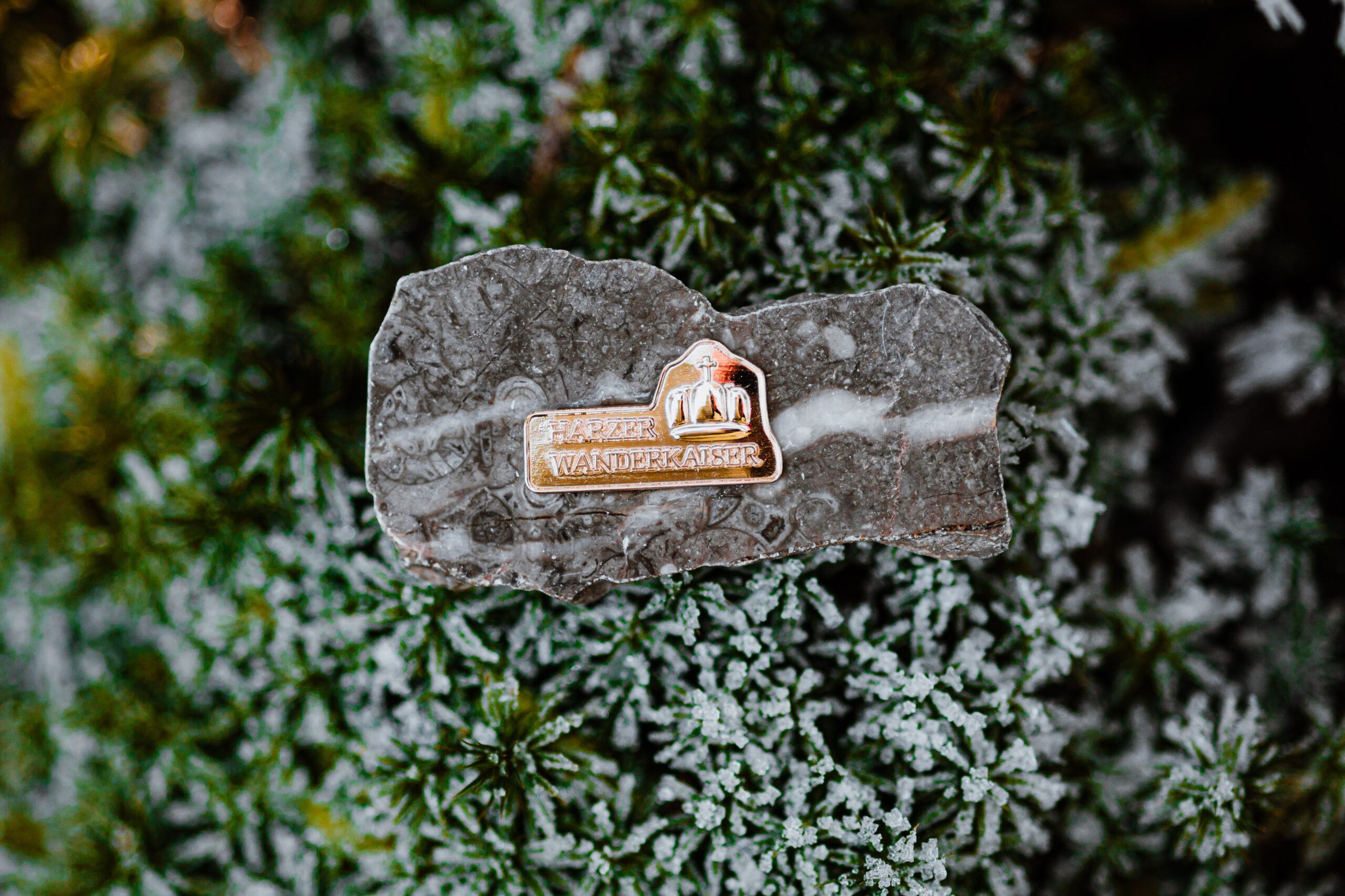 Rucksack mit bunten Ansteckern der Harzer Wandernadel