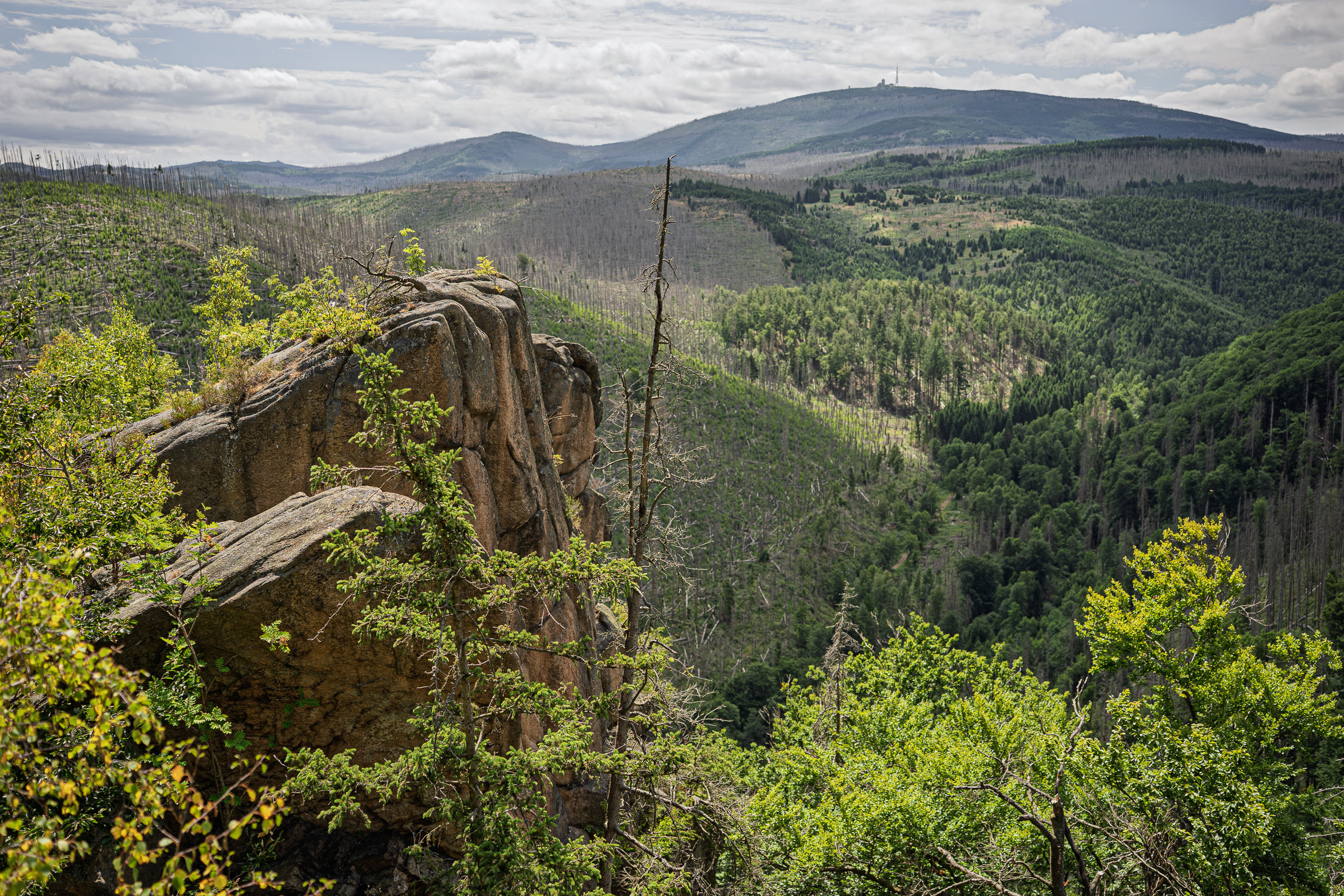 Felsformation im grünen Mittelgebirge mit bewaldeten Hügeln