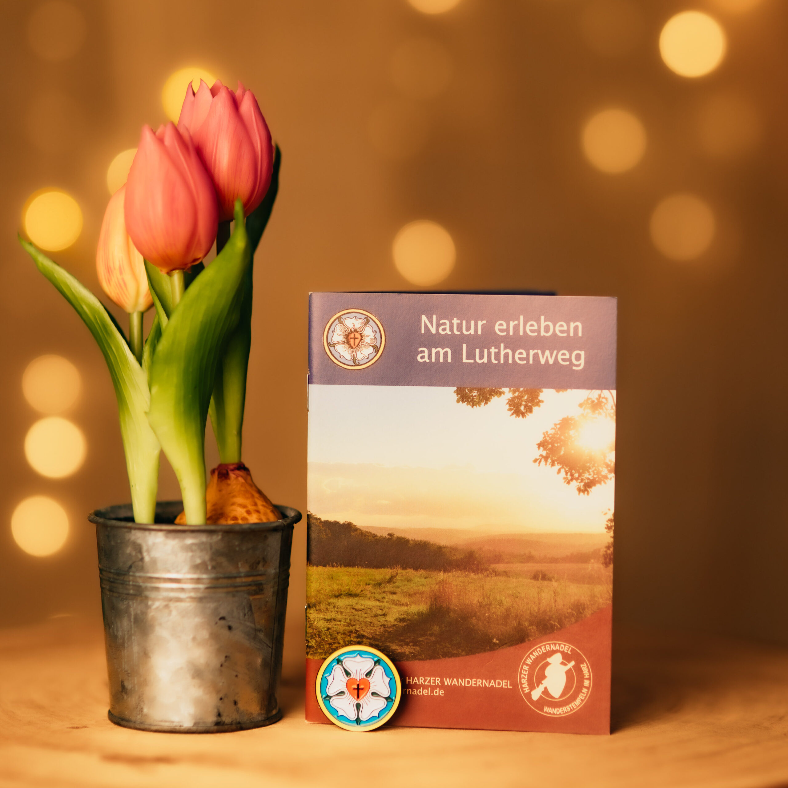 Tulpen und Flyer zum Lutherweg auf Holztisch