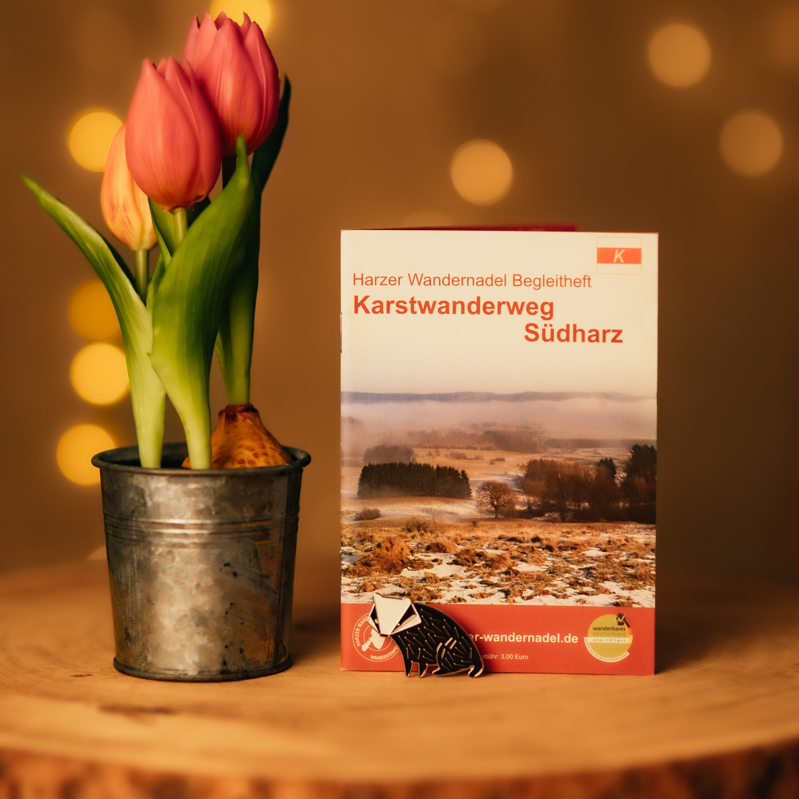 Tulpen und Wanderheft Karstwanderweg Südharz auf Tisch