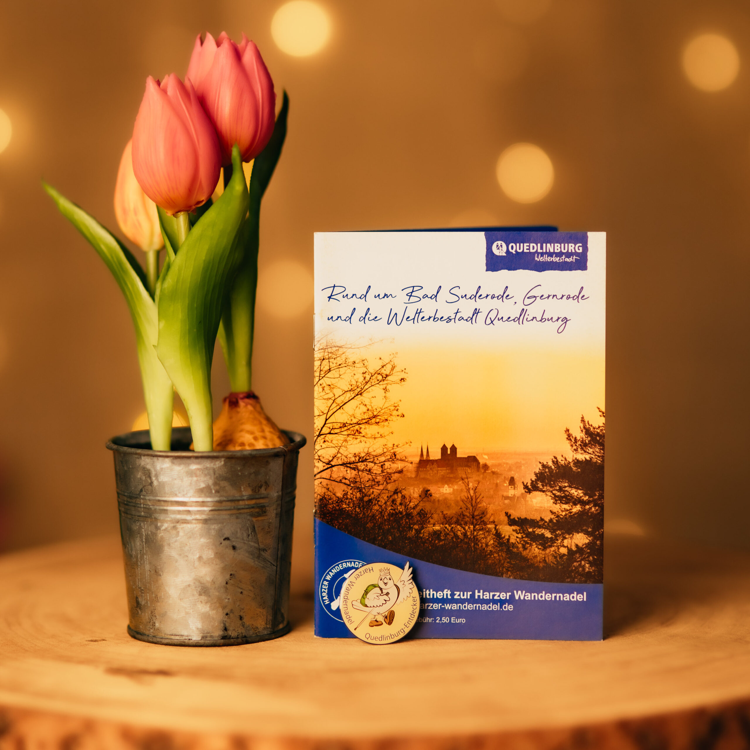 Tulpen neben Begleitheft Quedlinburg auf Holztisch