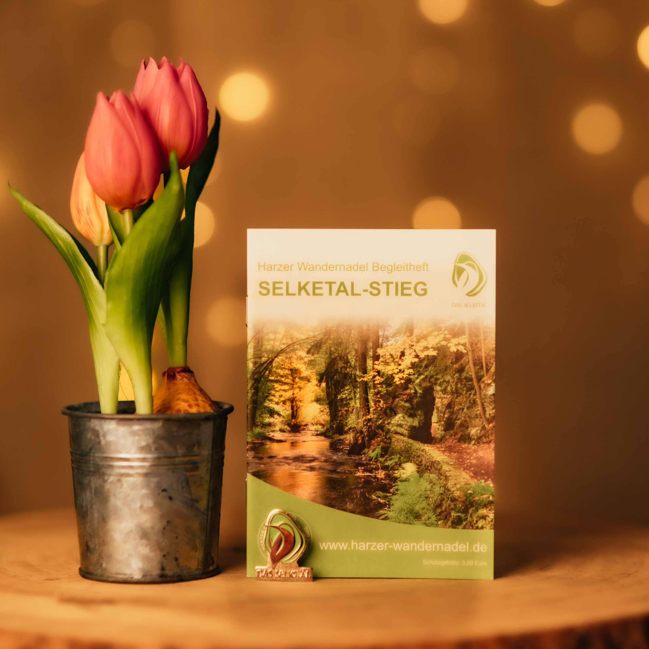 Begleitheft Selketal-Stieg neben Tulpen im Topf