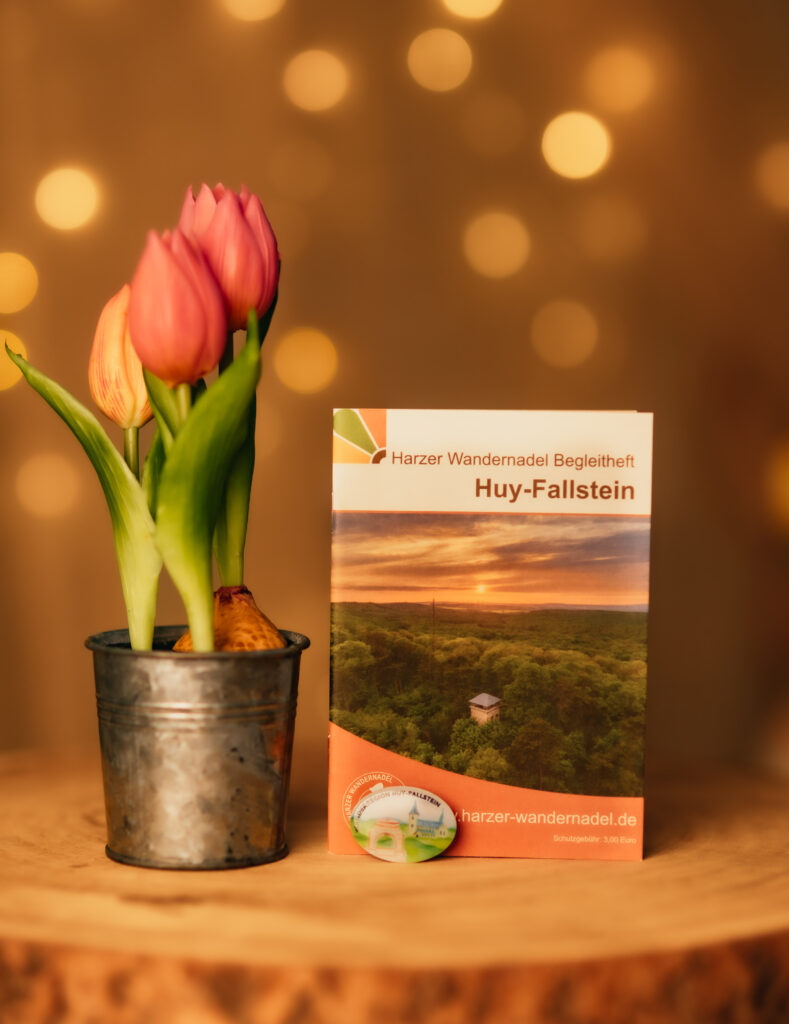 Tulpen met wandelboekje Huy-Fallstein op houten tafel