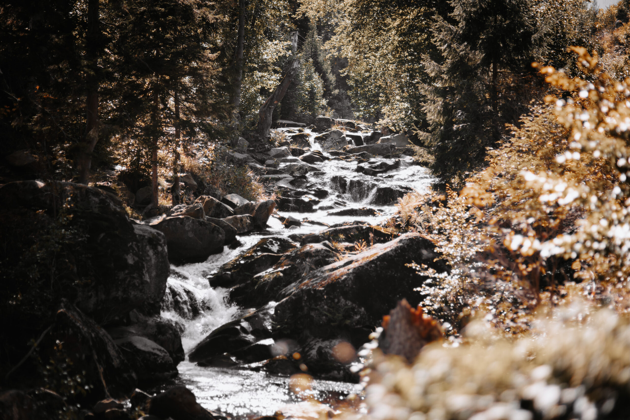 Bergbach fließt durch herbstlichen Wald mit Felsen